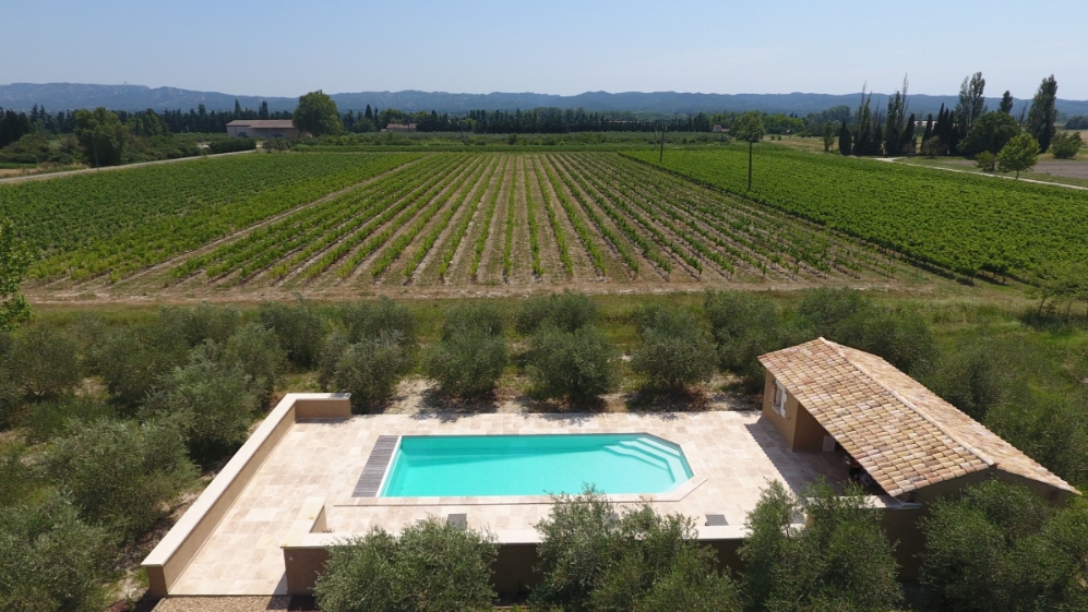 Alliance Piscines PISCINE LA ROCHE SUR YON AGATE 3