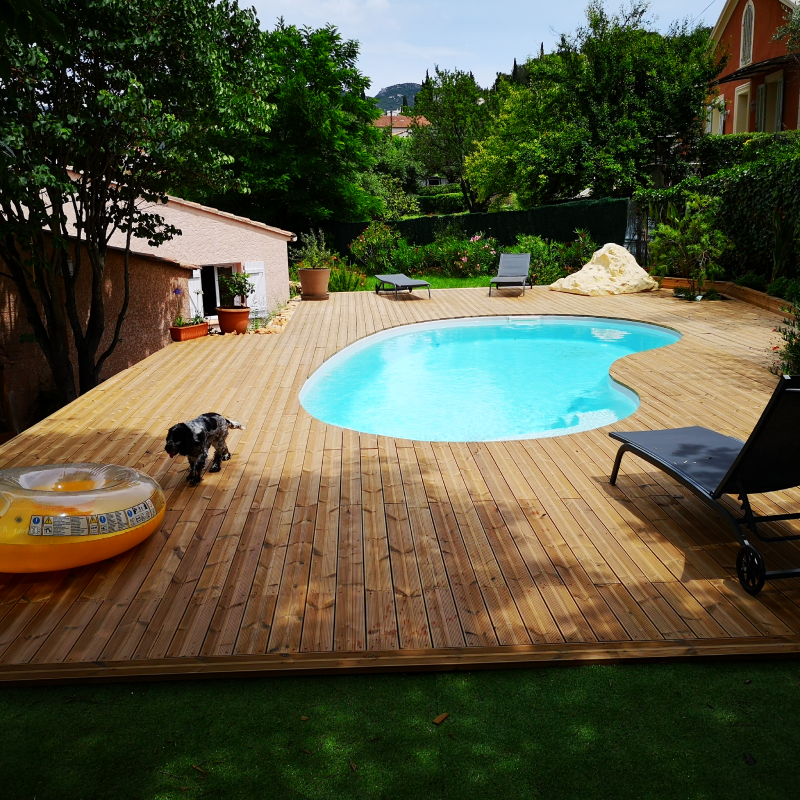 Alliance Piscines PISCINE LA ROCHE SUR YON Cornaline Grise C2